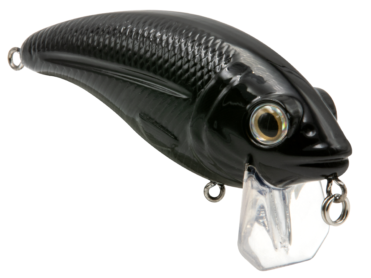 Bull Nose