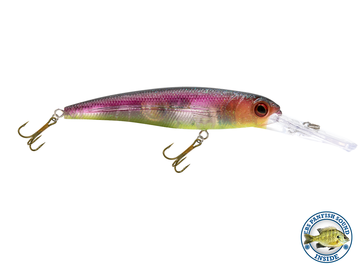 Voyager 15 Walleye