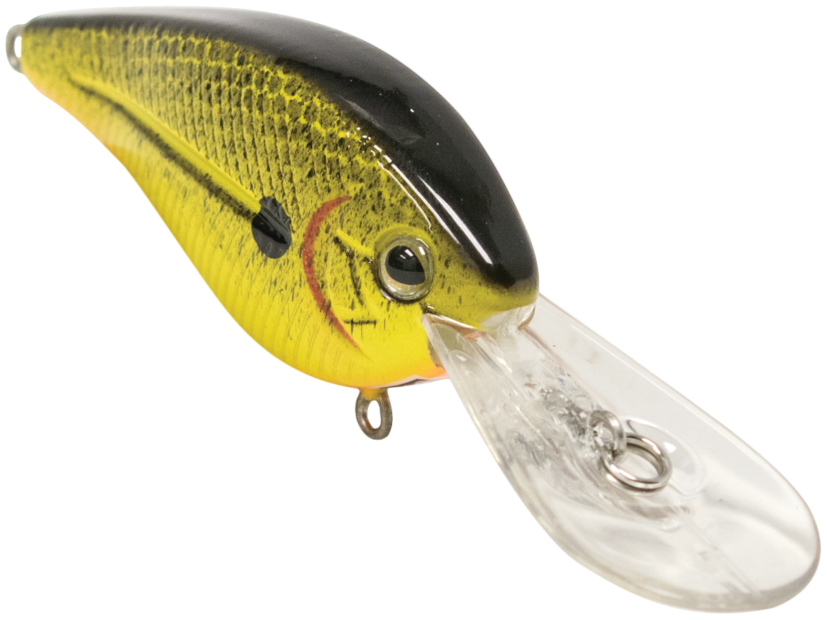 FlatMaster
