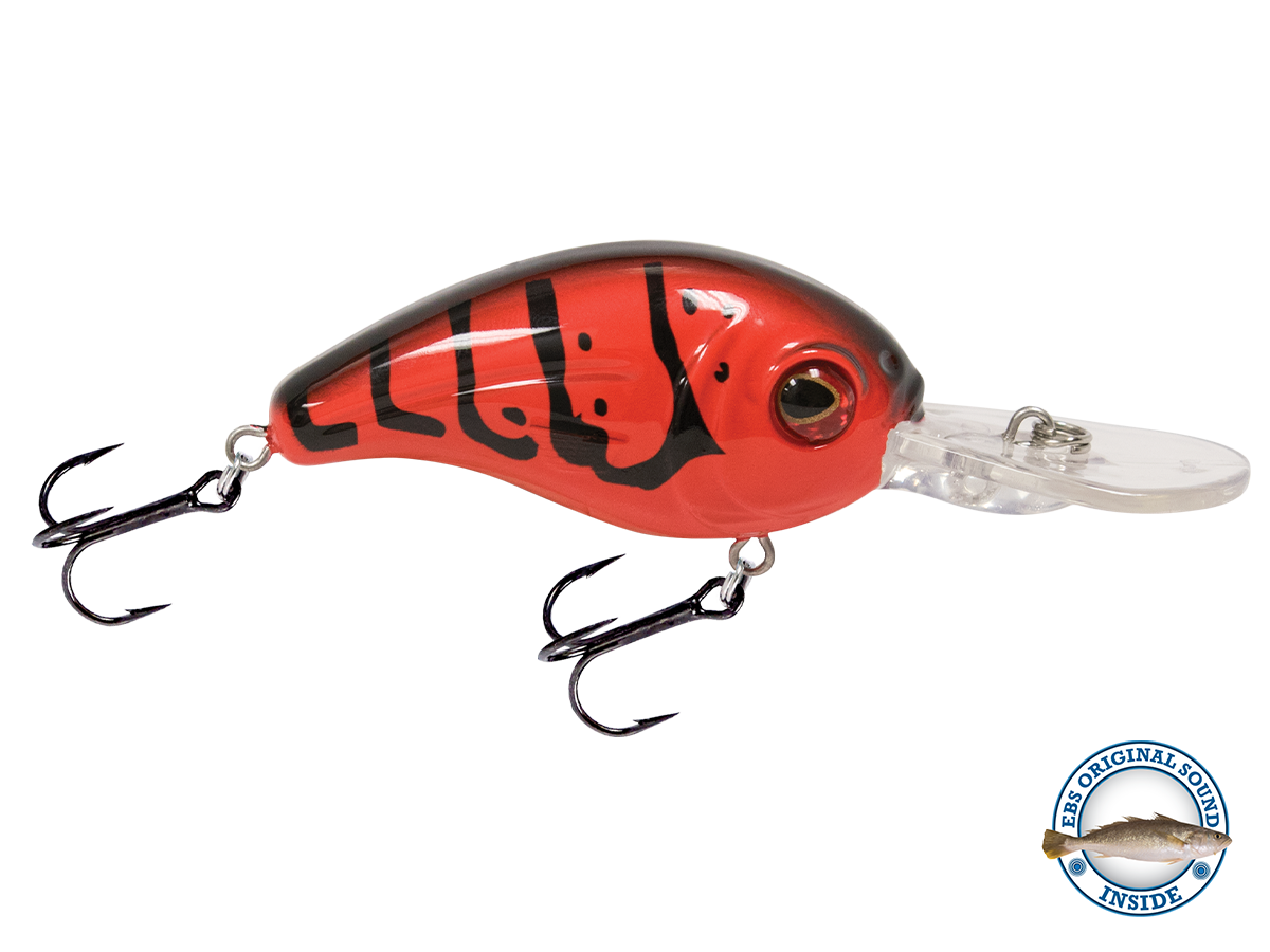 Dive Master Jr 8