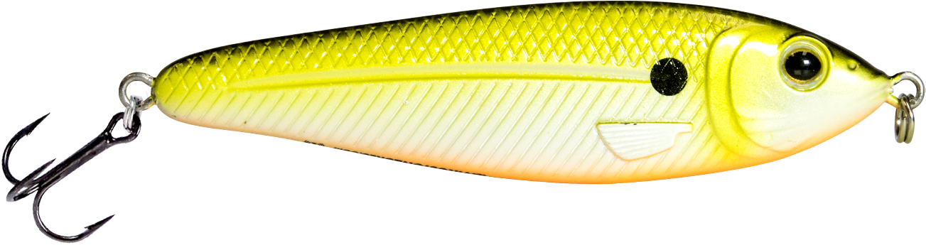 EBS Jigging Spoon