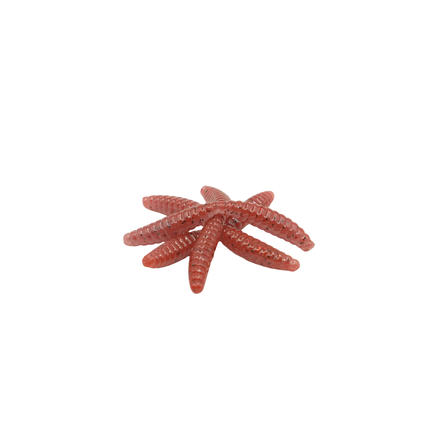 1" Wax Worm